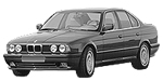 BMW E34 C129A Fault Code